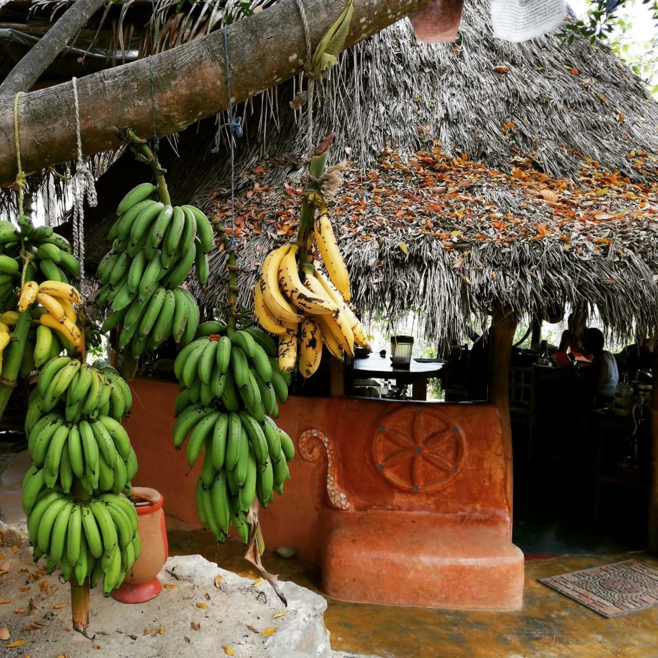 Sol De Minca Eco Lodge Exterior photo