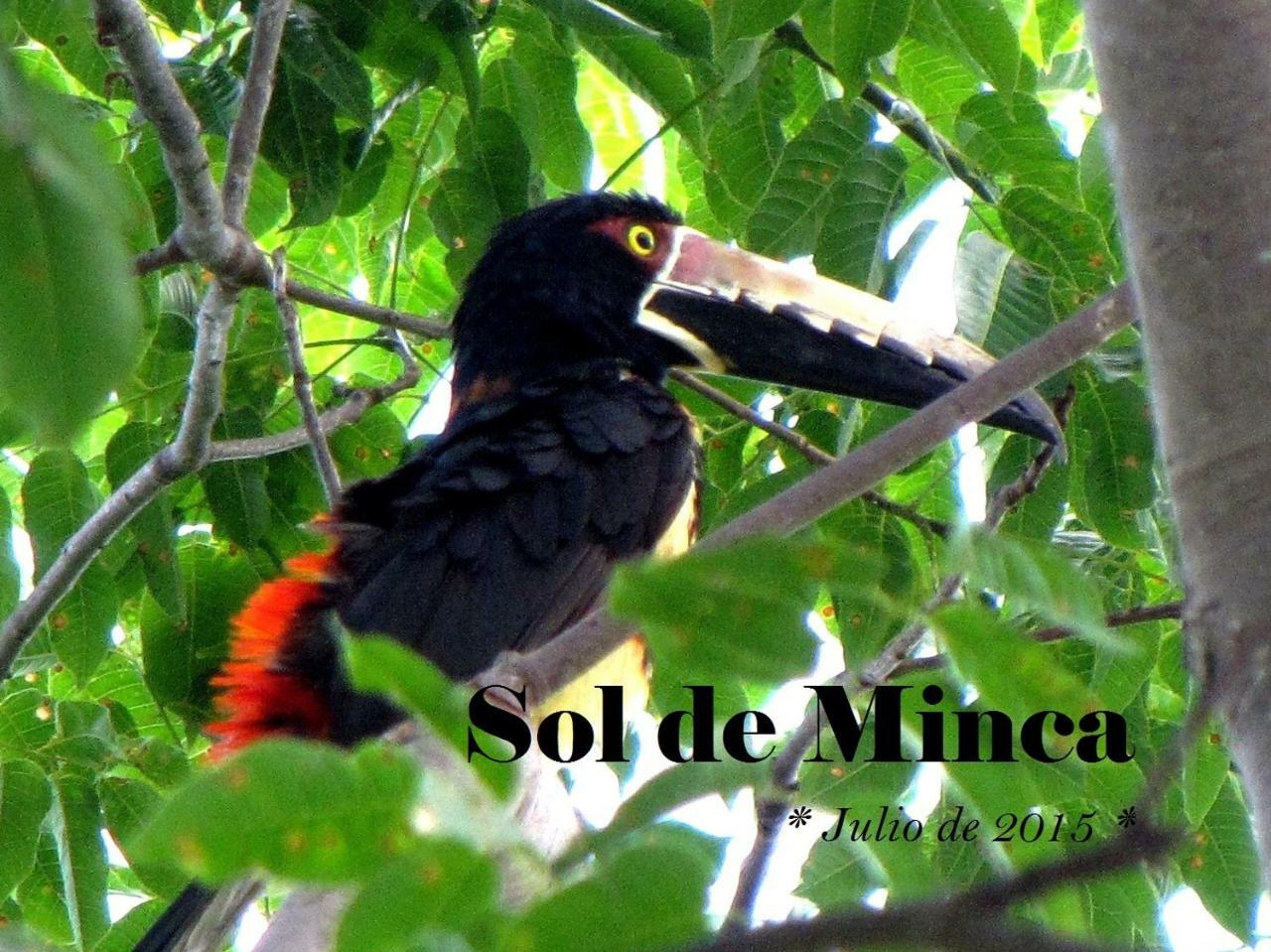 Sol De Minca Eco Lodge Exterior photo